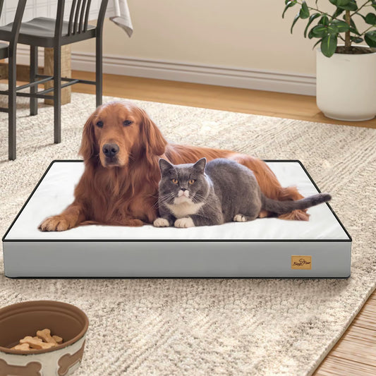 Durable Waterproof Dog Bed - Foam Pet Lounge with Removable Washable Cover for All Dog Sizes