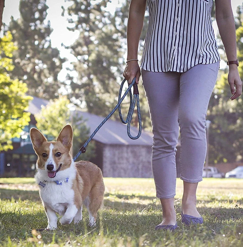 Versatile 2-in-1 Dog Leash and Collar Combo - Durable, Adjustable, and Comfortable for Small, Medium, and Large Pets!