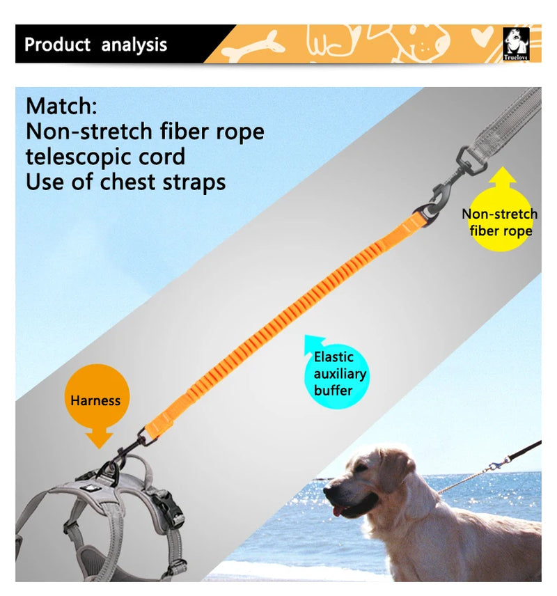 Enhance Walks with our Short Bungee Dog Leash - Retractable, Durable Nylon, Perfect for Training, Running, and Walks!