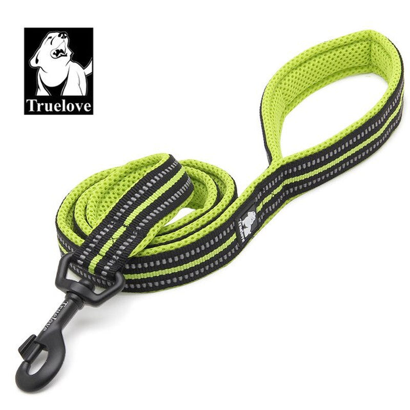 Soft Pet Leash Reflective Nylon Mesh Padded Puppy Large Dog or Cat Walking Training 11 Color 200Cm TLL2112 Dropshipping