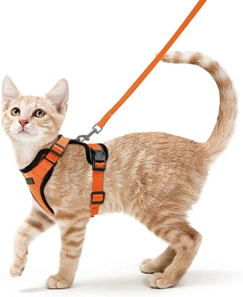 Cat Harness and Leash Set – Escape-Proof, Adjustable, Breathable with Reflective Strips – Stylish Jacket Design for Safe and Stylish Walks