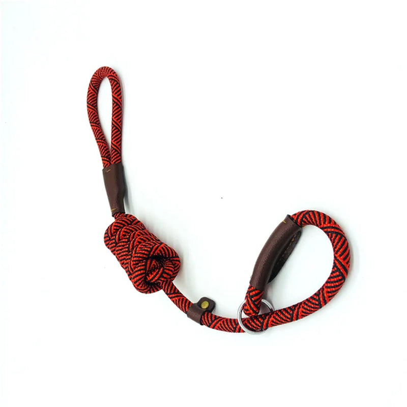 Versatile 2-in-1 Dog Leash and Collar Combo - Durable, Adjustable, and Comfortable for Small, Medium, and Large Pets!