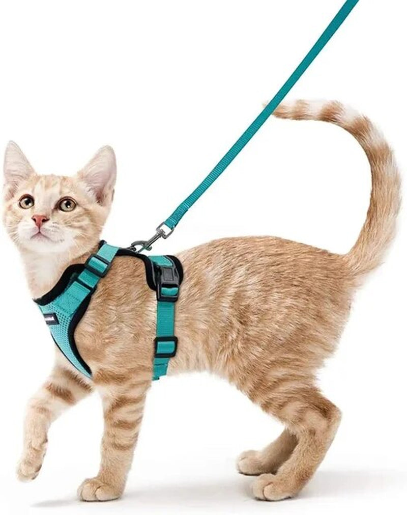 Cat Harness and Leash Set – Escape-Proof, Adjustable, Breathable with Reflective Strips – Stylish Jacket Design for Safe and Stylish Walks