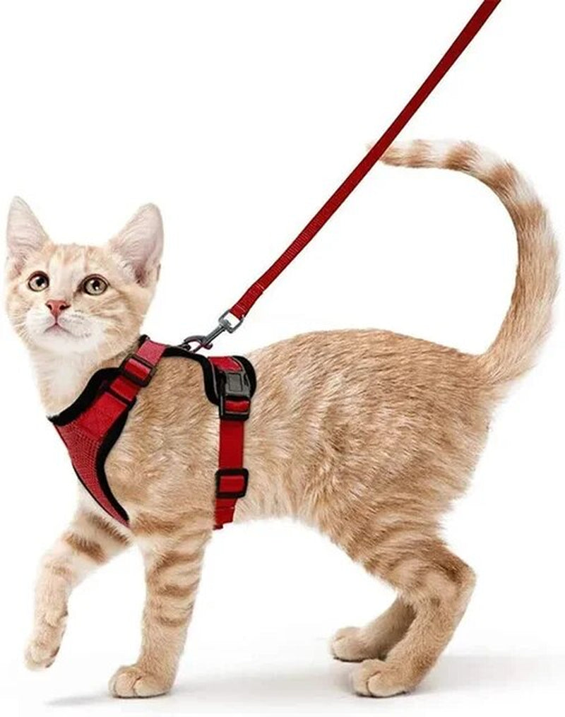 Cat Harness and Leash Set – Escape-Proof, Adjustable, Breathable with Reflective Strips – Stylish Jacket Design for Safe and Stylish Walks