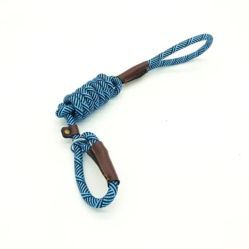 Versatile 2-in-1 Dog Leash and Collar Combo - Durable, Adjustable, and Comfortable for Small, Medium, and Large Pets!