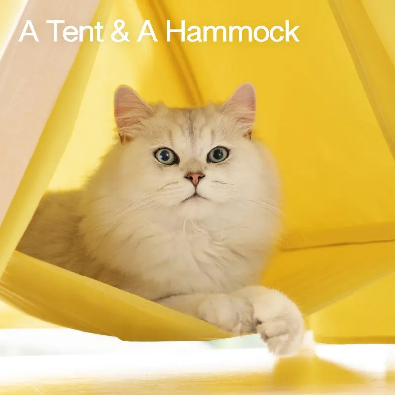 Create a Cozy Haven Anywhere! Pet Teepee Cat Hammock Bed House - Sturdy, Portable, and Easy to Assemble for Dogs, Puppies, and Cats, Indoors or Outdoors!