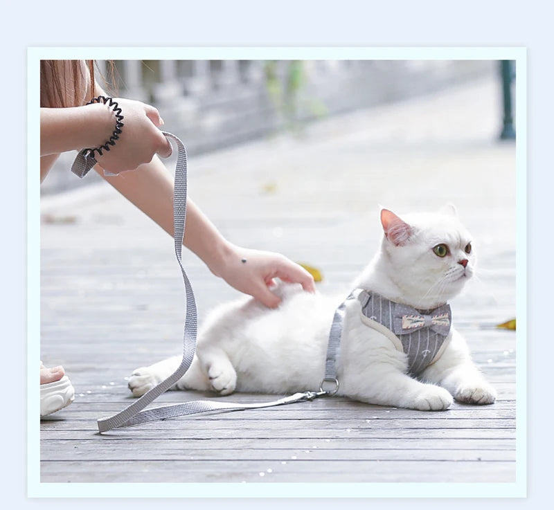 Bowknot Cat Harness and Leash Set – Adjustable Vest, Nylon Mesh, Elegant Bow – Stylish Cat Accessories for a Purr-fect Outdoor Experience!