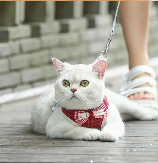 Bowknot Cat Harness and Leash Set – Adjustable Vest, Breathable Nylon Mesh, Stylish Bow – Cat Accessories for a Purr-fect Outdoor Stroll!