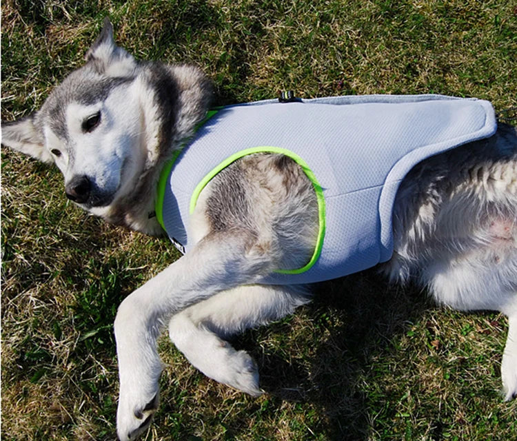 Cool Comfort for Every Pup: Pet Cooling Vest - Lightweight, Stylish Jacket for Small and Big Dogs, Ideal for Summer and Beach Adventures