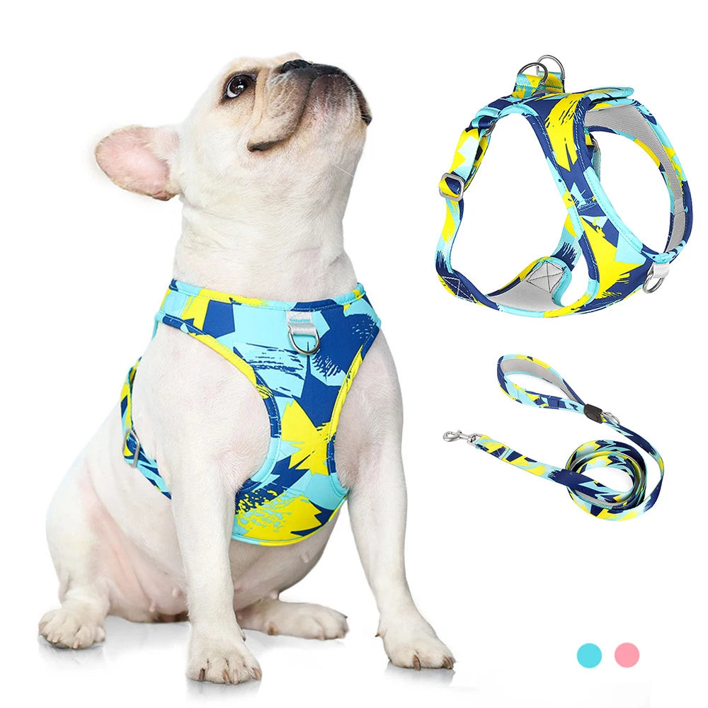 Step Out in Style: Adjustable Dog Cat Harness Set – Trendy Walks for Puppies and Kittens with Leash – Fashion and Comfort Unleashed! Blue