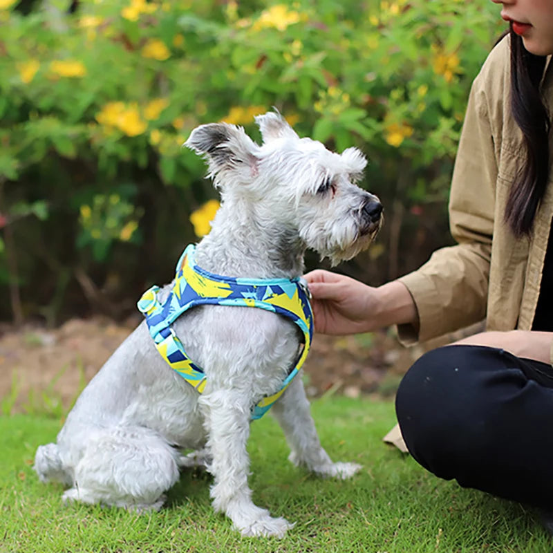 Step Out in Style: Adjustable Dog Cat Harness Set – Trendy Walks for Puppies and Kittens with Leash – Fashion and Comfort Unleashed! Blue