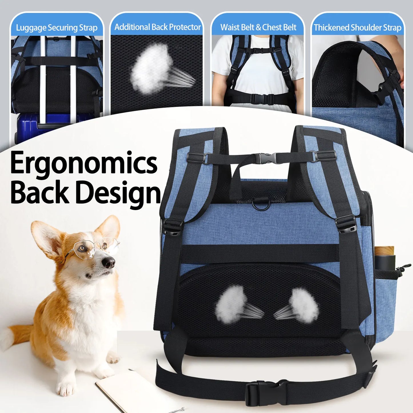 Jet-Set in Style: Southwest Airline Approved Pet Backpack Carrier - Safe, Stylish, and Ideal for Small Dogs and Cats