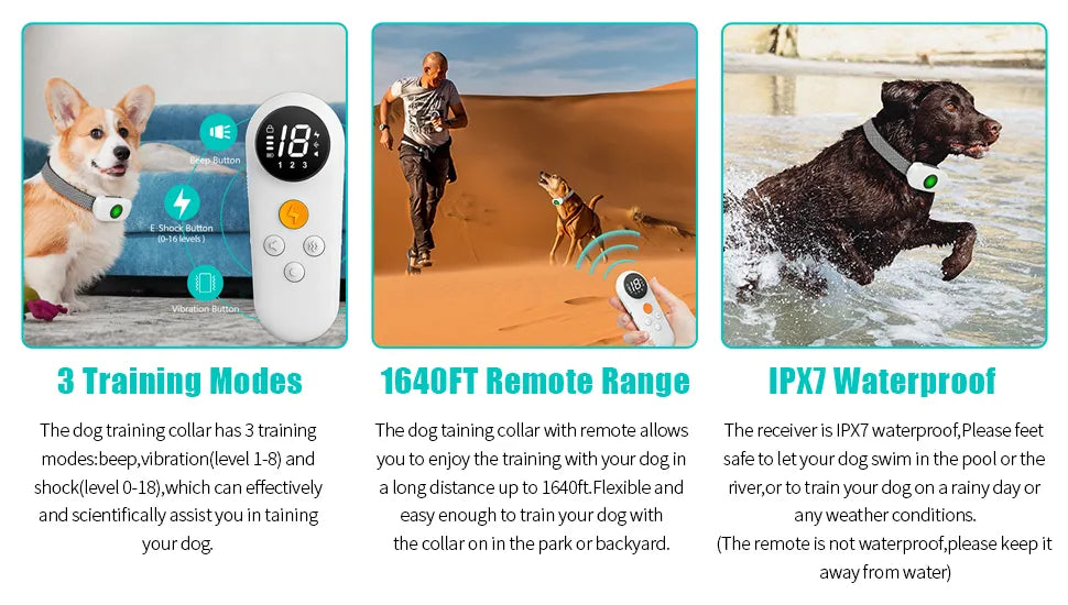 Unlock the Best Behavior: Rechargeable Electric Training Collar with Remote for Small, Medium & Large Dogs - IPX7 Waterproof