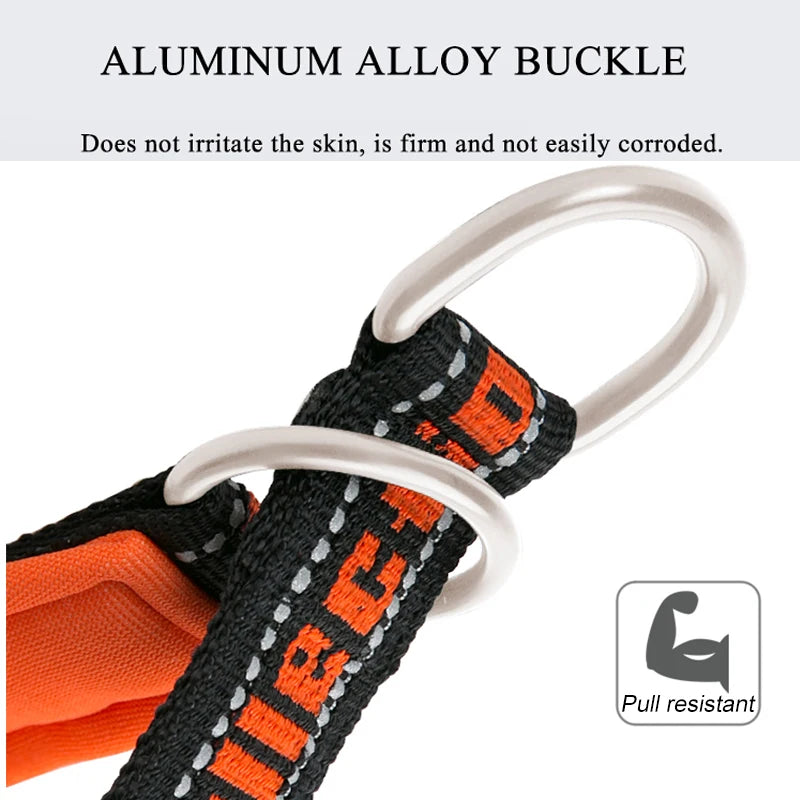 Adjustable Reflective P-Chain Nylon Pet Collar: Travel in Style with Pull-Resistant Comfort!