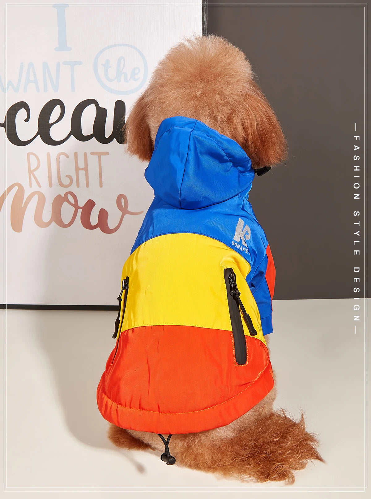 Stay Dry, Look Fly: Waterproof Big Dog Clothes - Winter Warm Raincoat for Medium to Large Dogs, Fashionable Jacket for French Bulldogs and Chihuahuas