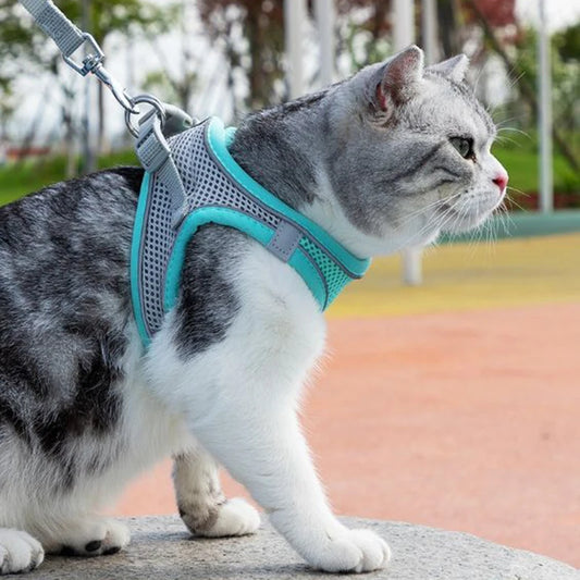 Escape-Proof Cat Harness Set – Adjustable Mesh Vest and Walking Lead for Small Dogs, Cats, Puppies, and Kittens (XXS) – Pet Walking at Its Best!