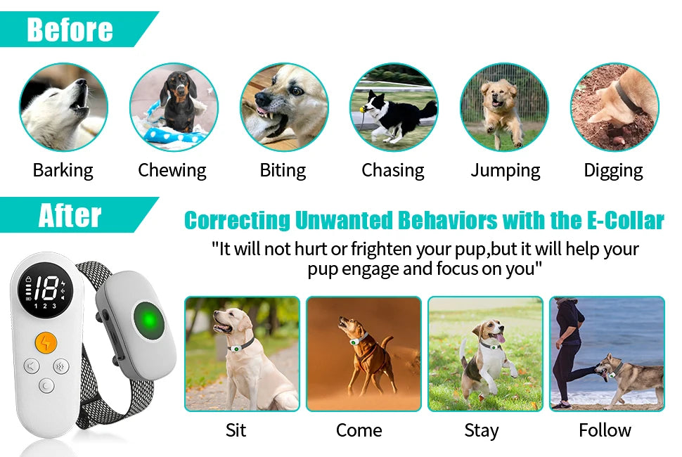 Unlock the Best Behavior: Rechargeable Electric Training Collar with Remote for Small, Medium & Large Dogs - IPX7 Waterproof