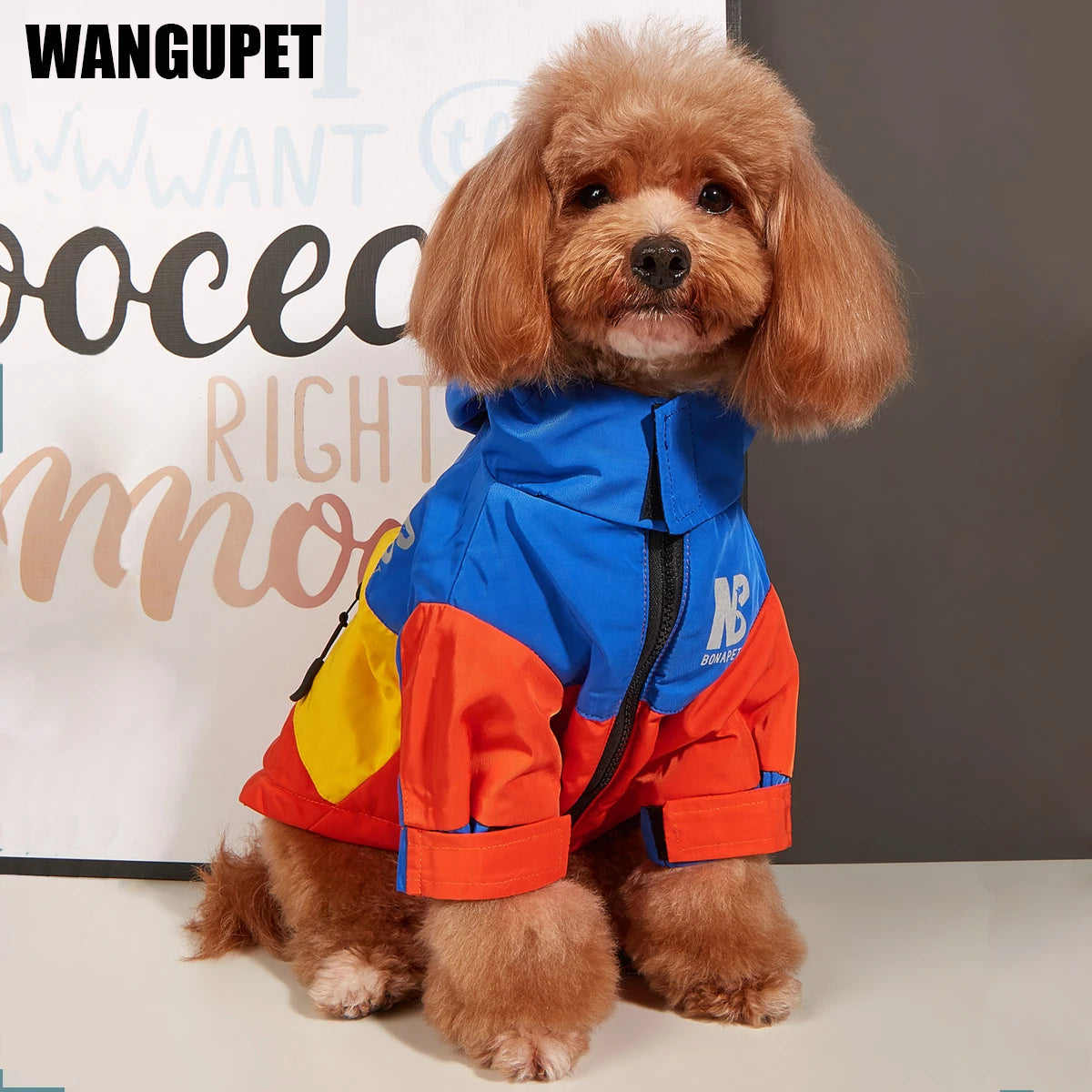 Stay Dry, Look Fly: Waterproof Big Dog Clothes - Winter Warm Raincoat for Medium to Large Dogs, Fashionable Jacket for French Bulldogs and Chihuahuas