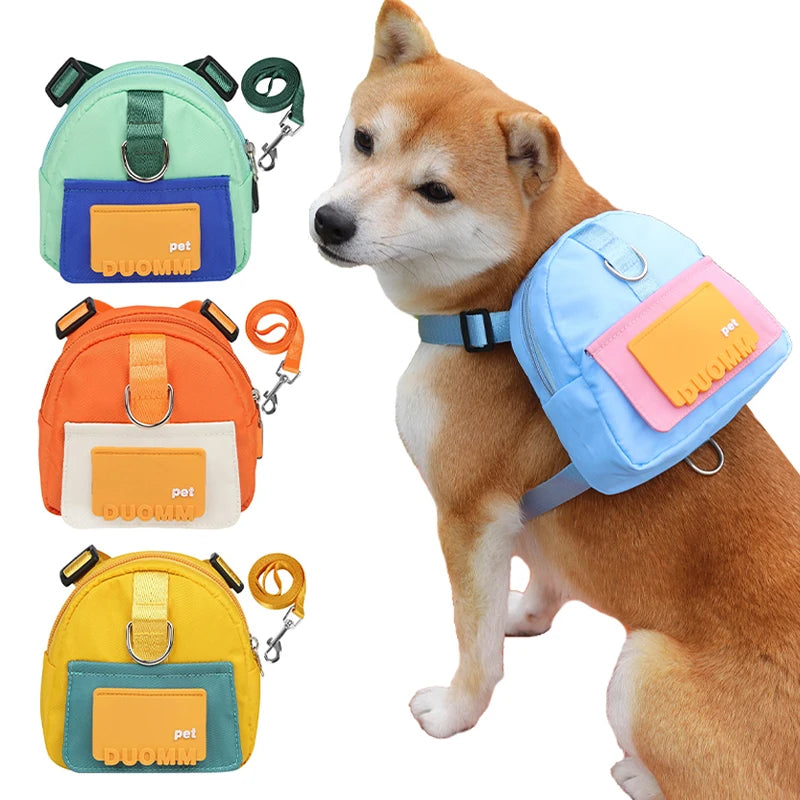 Explore the best Waterproof Pet Backpack with Harness Collar – Perfect for Outdoor Travel and Snacks. Your French Bulldog's next adventure awaits!