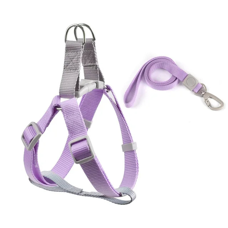 Step Out in Style: Adjustable Dog Harness Vest with Leash - Perfect for Small Dogs, Puppies, and Cats - Ideal for Outdoor Adventures!