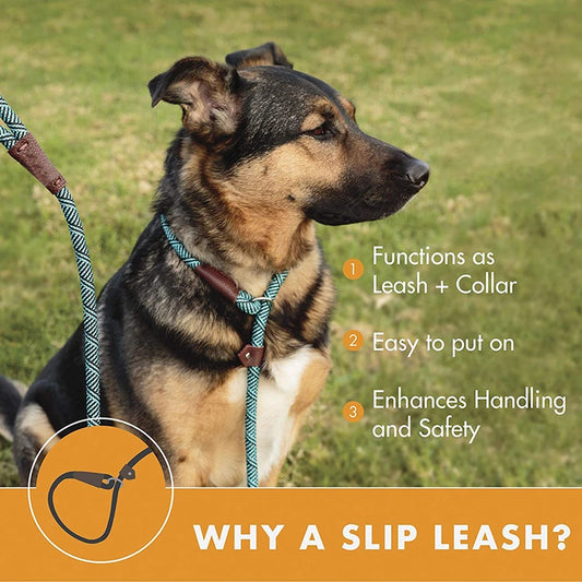 Versatile 2-in-1 Dog Leash and Collar Combo - Durable, Adjustable, and Comfortable for Small, Medium, and Large Pets!