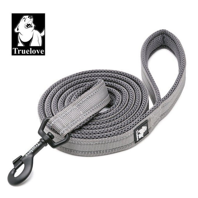 Soft Pet Leash Reflective Nylon Mesh Padded Puppy Large Dog or Cat Walking Training 11 Color 200Cm TLL2112 Dropshipping