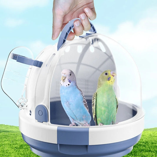 Discover Freedom: Clear Bird Window Travel Carrier - Wholesale Options Available!