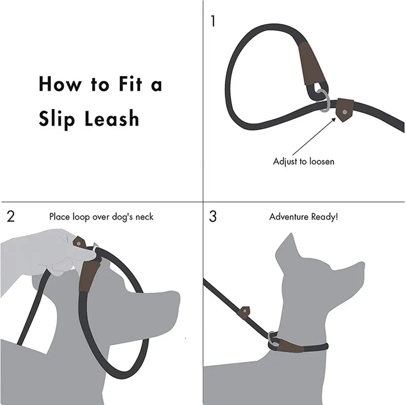 Versatile 2-in-1 Dog Leash and Collar Combo - Durable, Adjustable, and Comfortable for Small, Medium, and Large Pets!