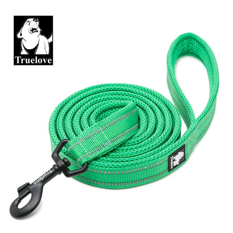 Soft Pet Leash Reflective Nylon Mesh Padded Puppy Large Dog or Cat Walking Training 11 Color 200Cm TLL2112 Dropshipping